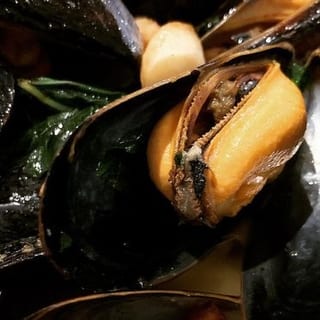 Steamed Mussels