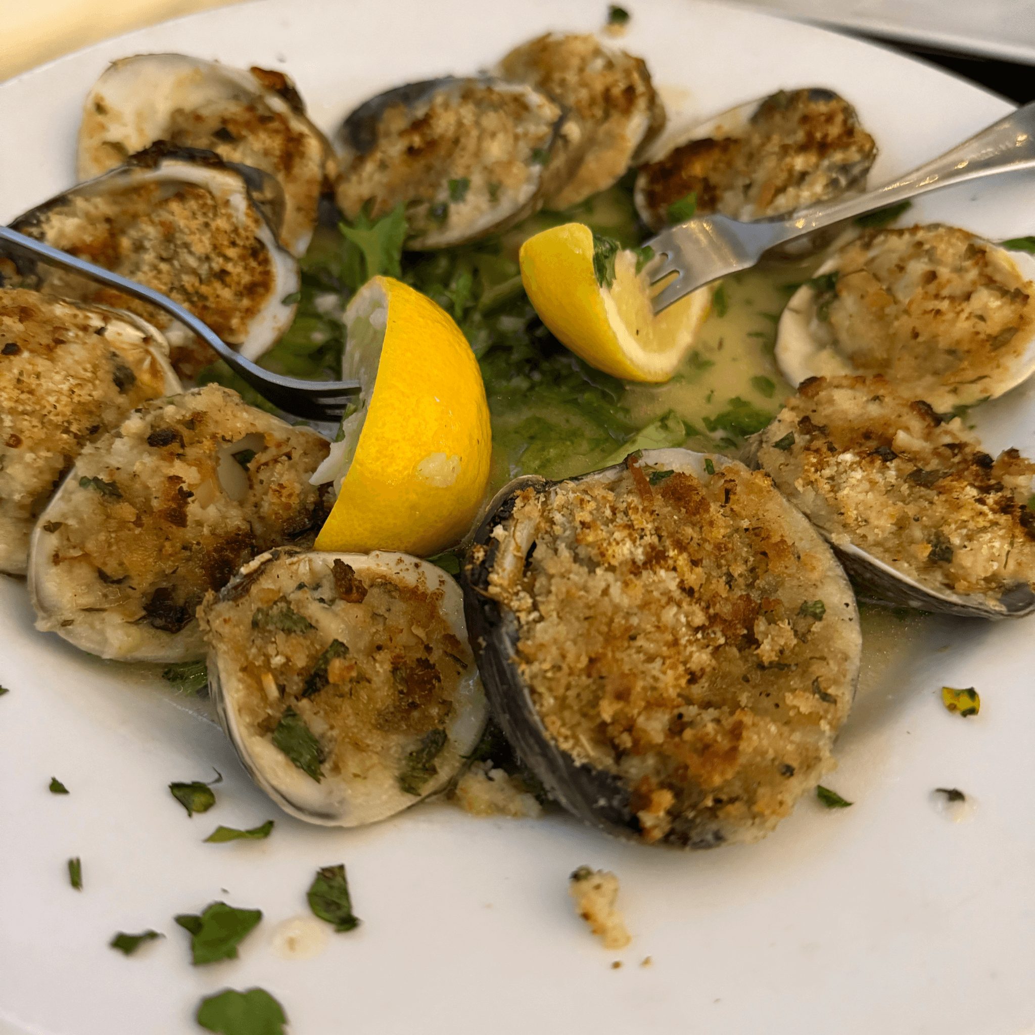 Clams Oreganata (10).