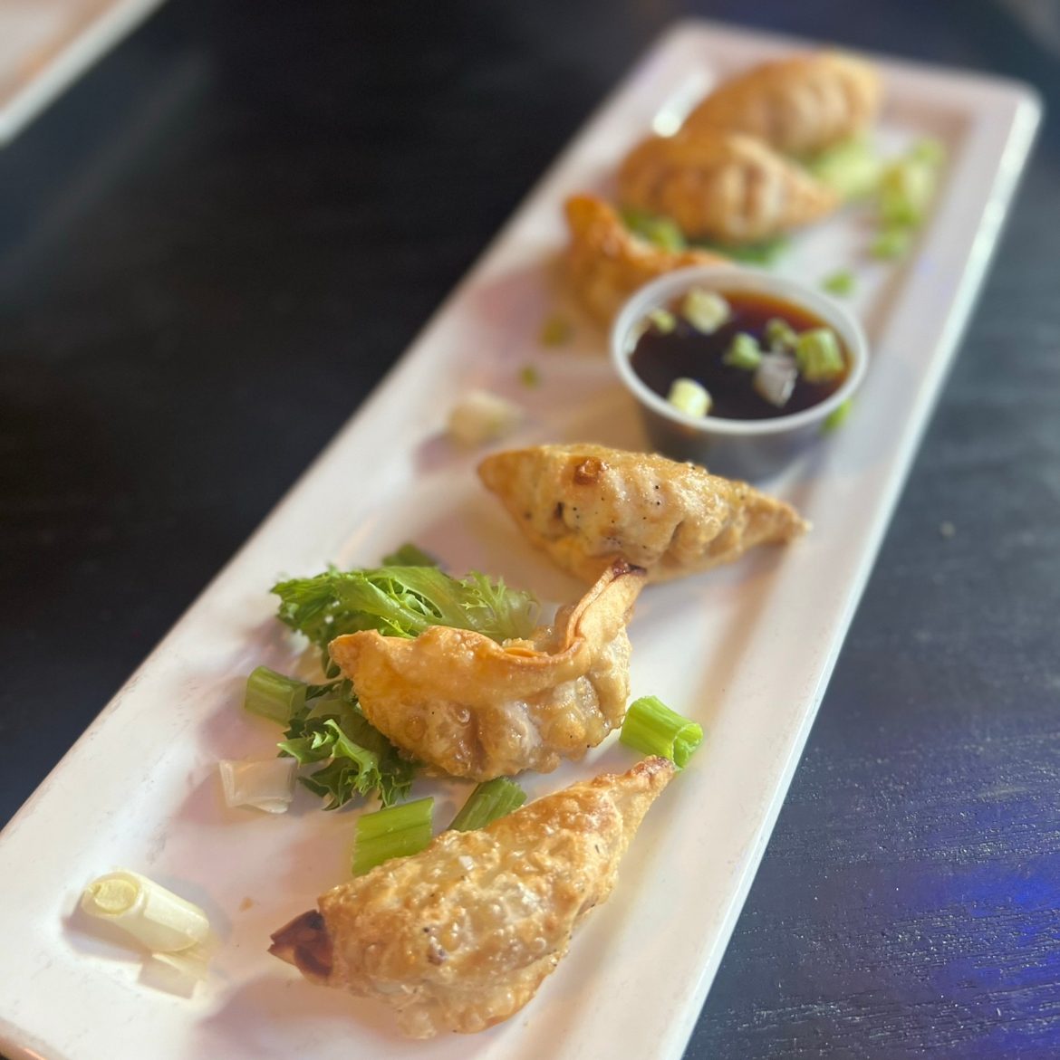 Chicken Teriyaki Dumplings (6).